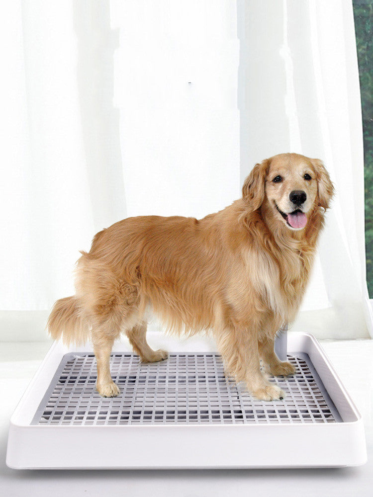 Pet Urinal & Changing Pads