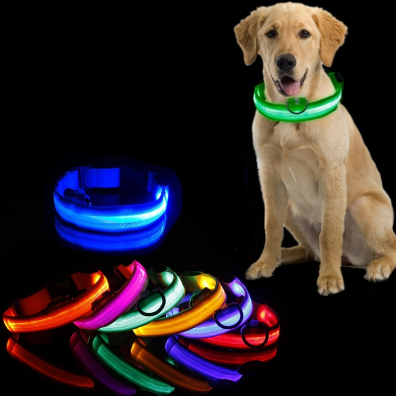 Led Dog Collar Light, Anti-lost Collar For Dogs Puppies  Night Luminous